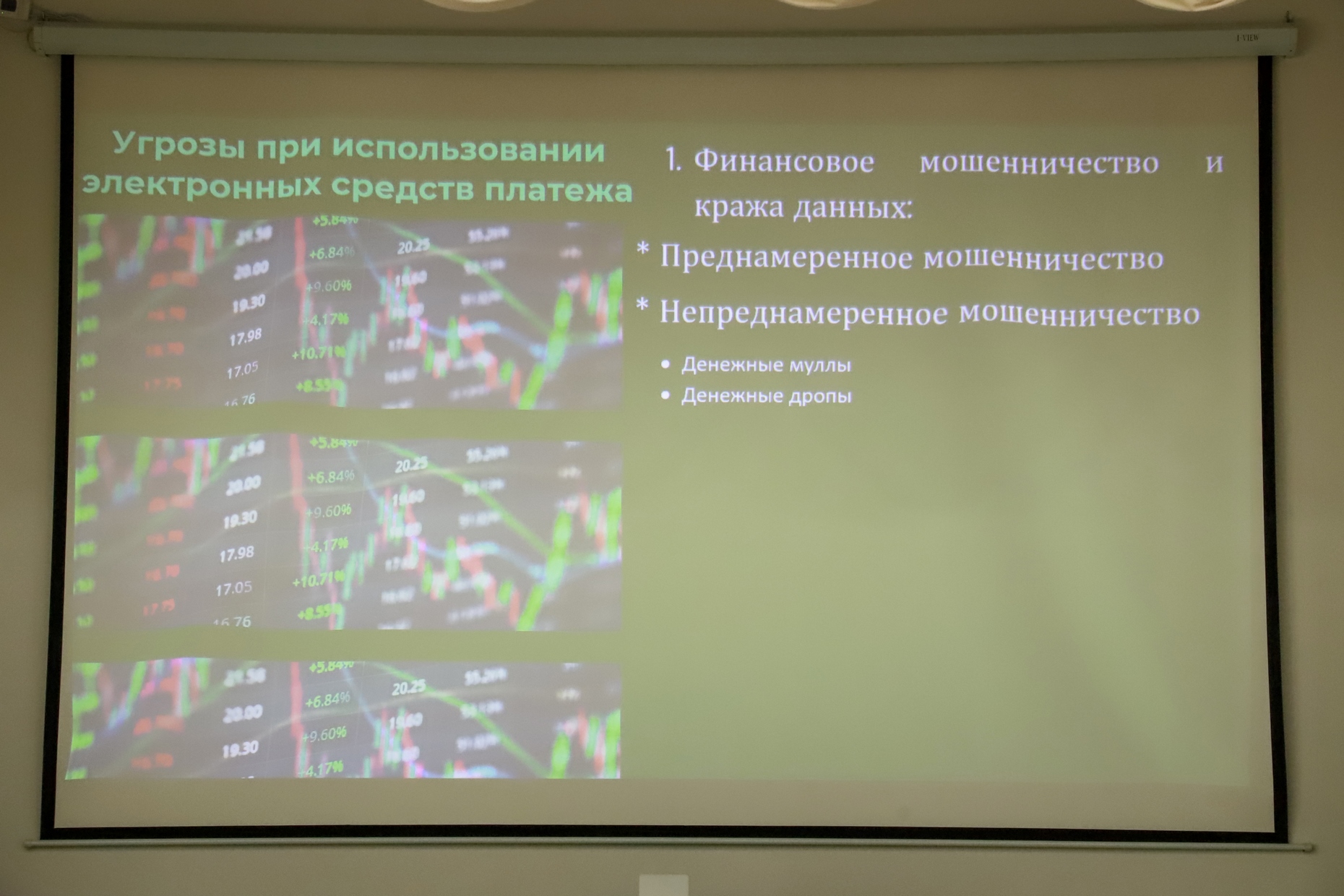 IMG_7393.JPG