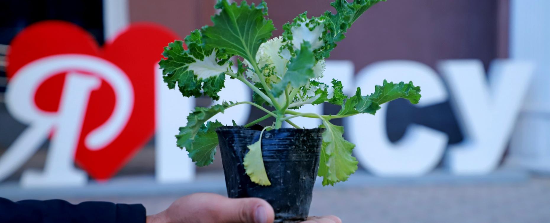 РТСУ поддерживает инициативу по благоустройству столицы