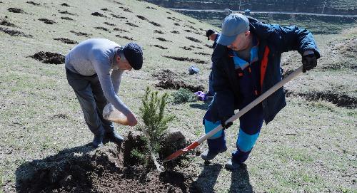 РТСУ принял участие в акции по озеленению в рамках программы «Зелёная страна»