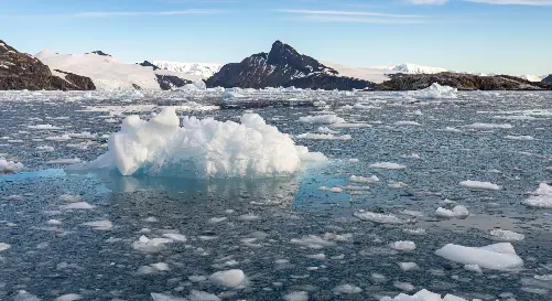 Сохранение ледников в условиях глобального потепления