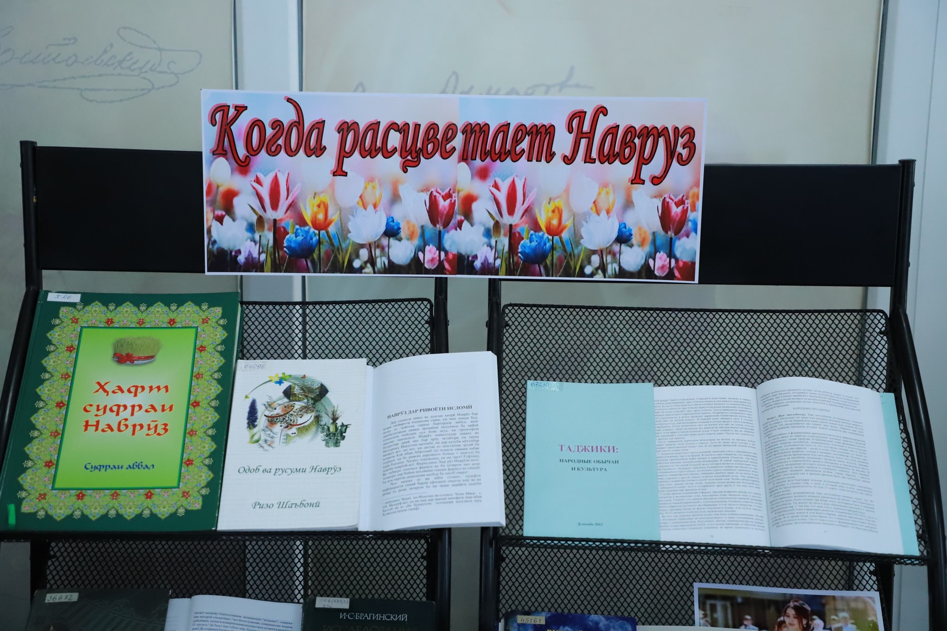 IMG_3850 — копия.JPG