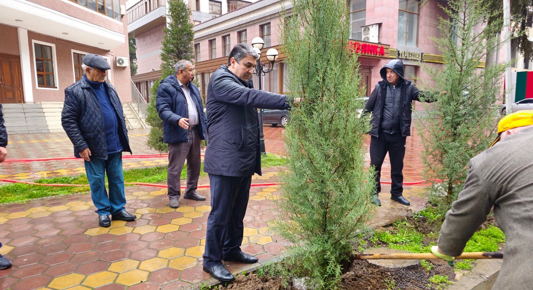 Ректор РТСУ принял участие в церемонии посадки деревьев