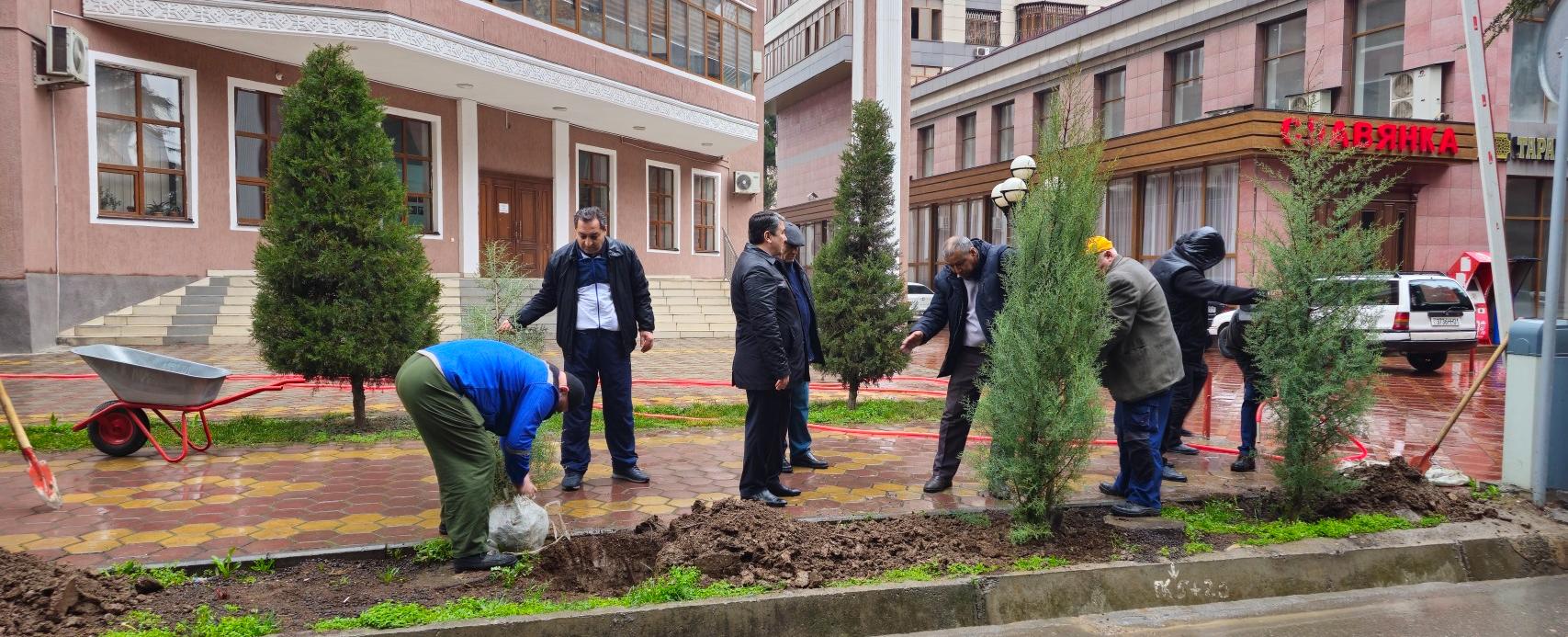 Ректор РТСУ принял участие в церемонии посадки деревьев